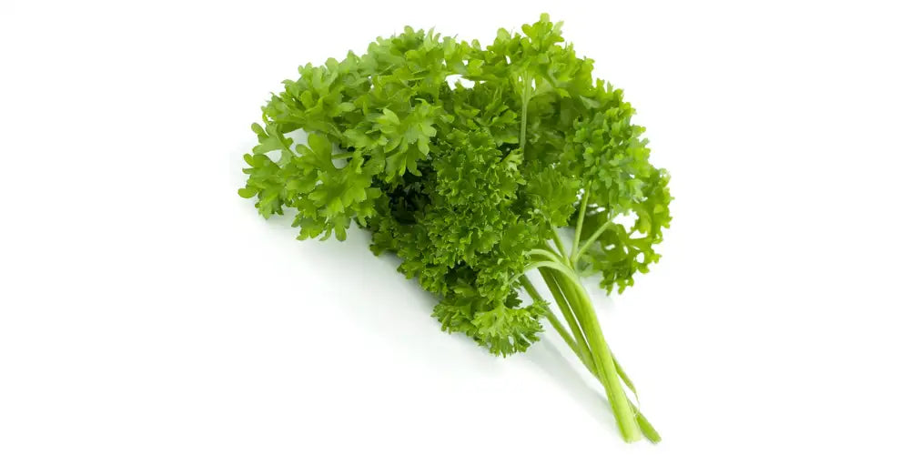 FRESH English Parsley, 1Kg