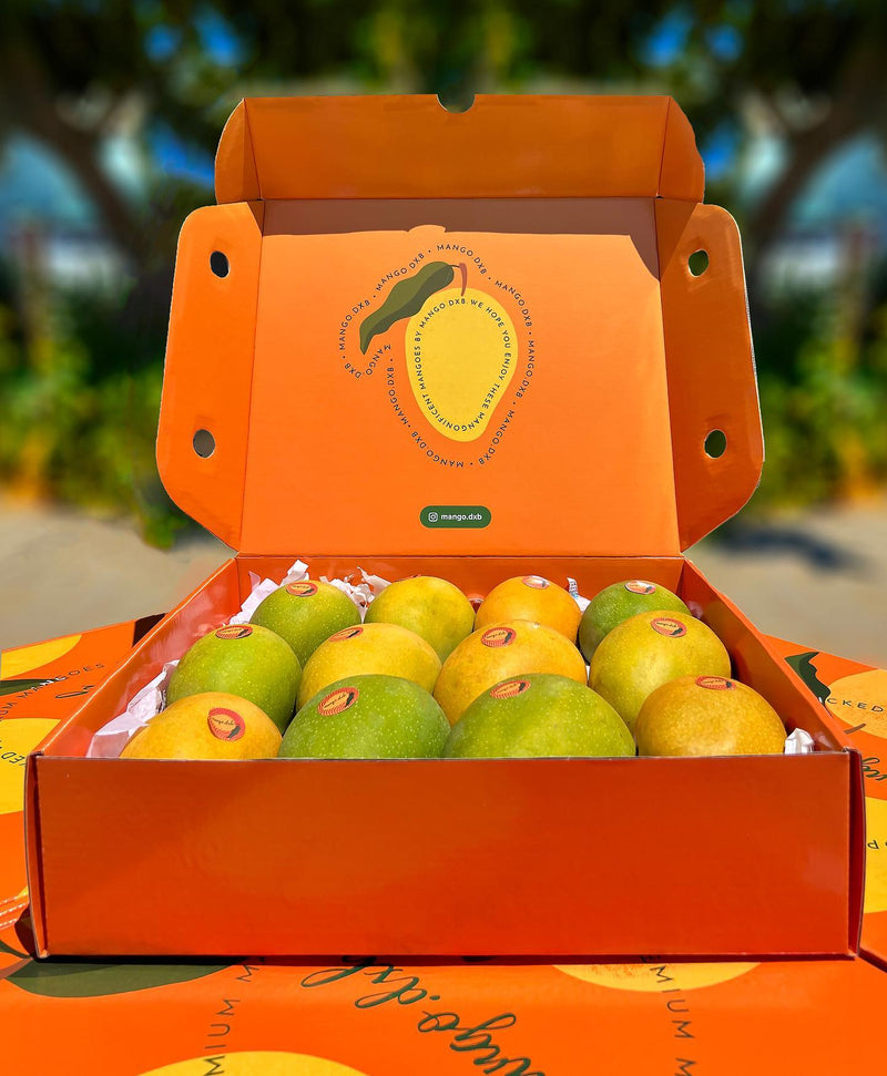 MANGO.DXB Premium Alphonso Mangoes - 12 Large Mangoes in a box, Weighing 3 to 3.5Kg Per Box