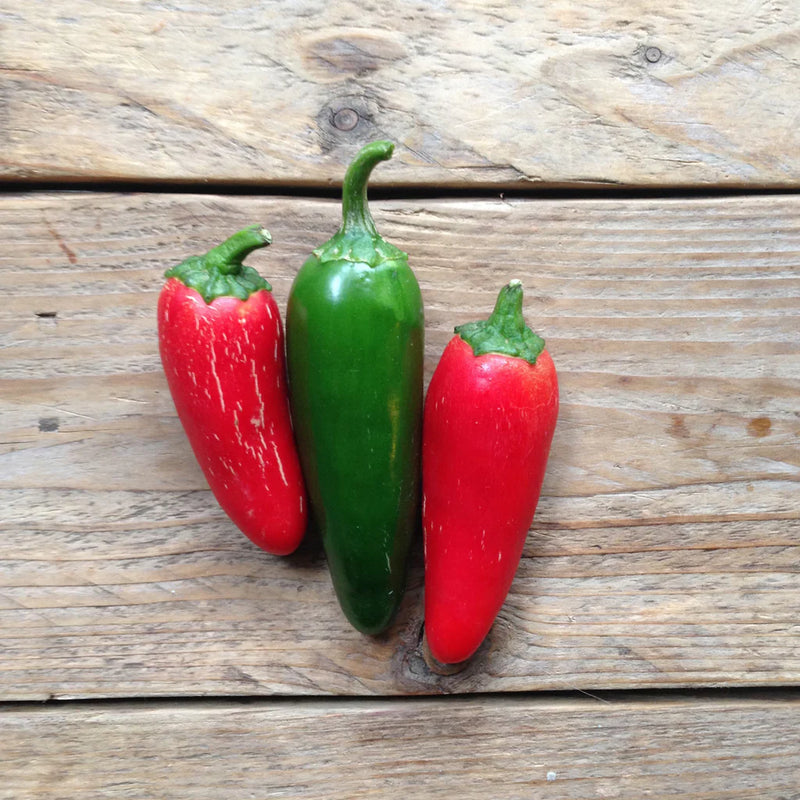 FRESH Jalapeno Chillies (Mix), 50g