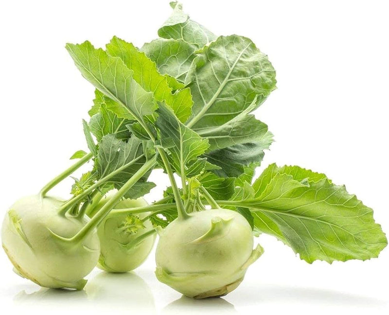 FRESH Kohlrabi, 1Kg (1 to 2 Pcs)