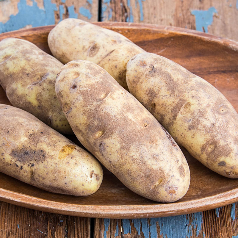 FRESH Russet Idaho Potatoes, 1Kg