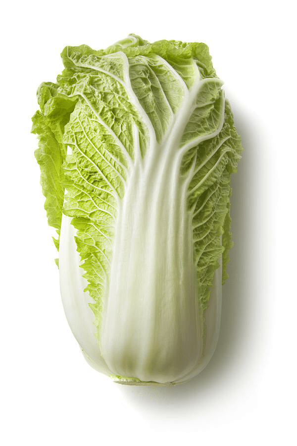 FRESH Chinese Cabbages, 1Kg (1 Pc)