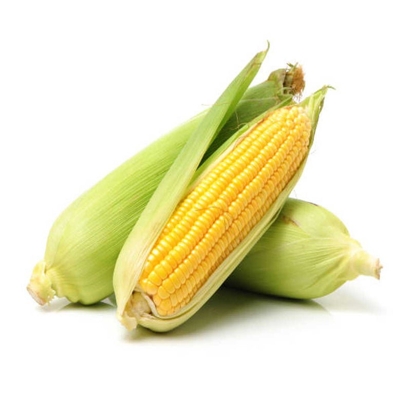 FRESH Sweet Corn, 500g (2-3 Cobs)