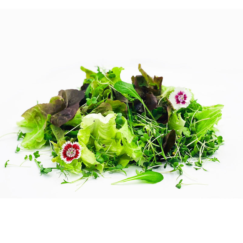 FRESH Lettuce Salad - Summer Asian, 100g