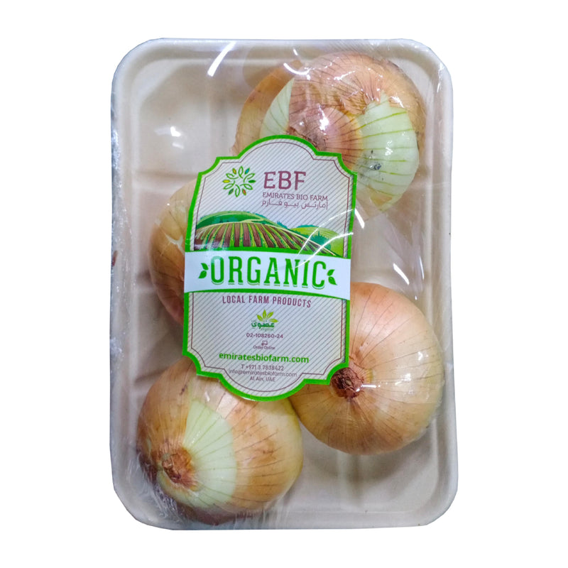 ORGANIC Brown Onions, 500g