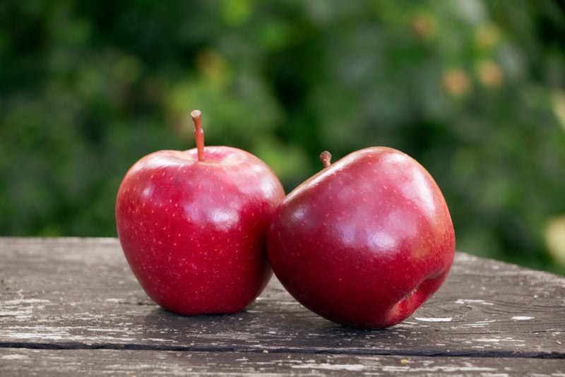 ORGANIC Dazzle Apples , Approx 18Kg