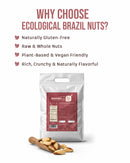 Ecological Brazil Nuts (Raw) 2.5 Kg