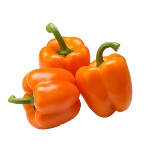 FRESH Orange Capsicums, 1Kg (3 to 5 Pcs)