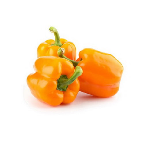 FRESH Orange Capsicums, 1Kg (3 to 5 Pcs)