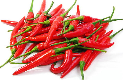 FRESH Red Chillies, 100g