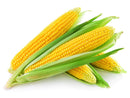FRESH Sweet Corn, 1Kg (4-5 Cobs)
