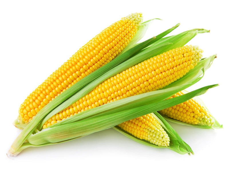 FRESH Sweet Corn, 1Kg (4-5 Cobs)