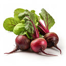 FRESH Beetroots, 1Kg (6 to 8 Pcs)