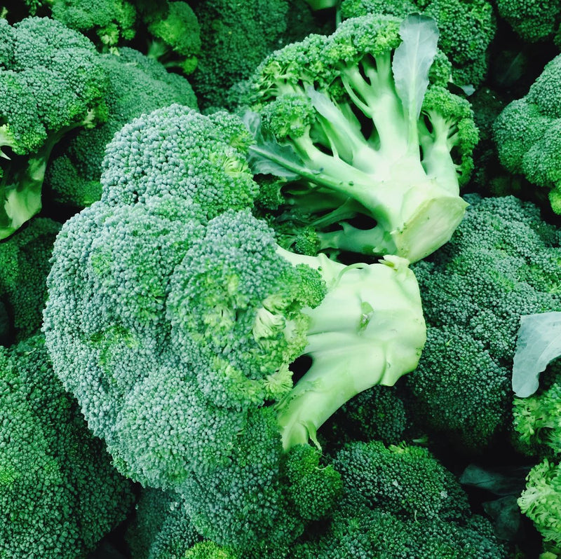 FRESH Broccoli, Approx 8kg