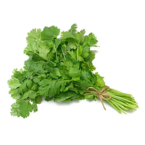 FRESH Coriander, 210 to 250g