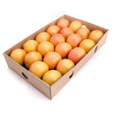 FRESH Grapefruits, Approx 15kg (Jumbo)