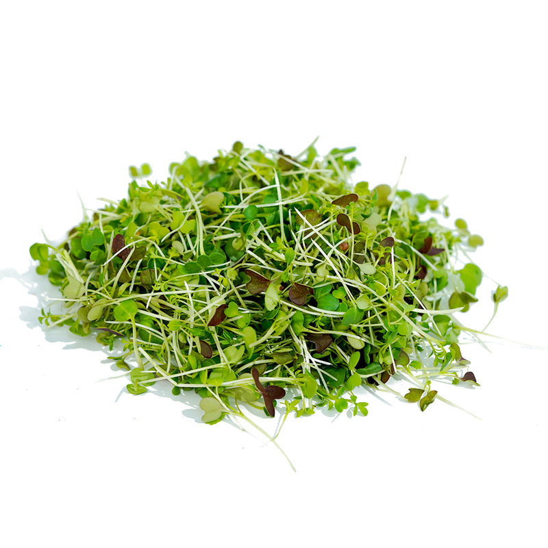 FRESH Microgreens - Got The Hots, 30g