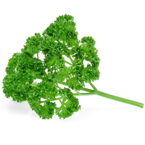 FRESH English Parsley, 1Kg