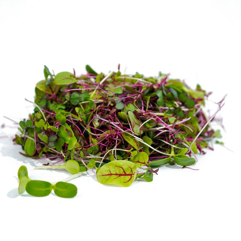 FRESH Microgreens - Jubilee, 30g