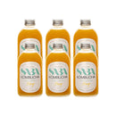 SABA Kombucha Mango, 270ml - Pack of 6