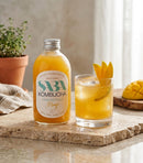 SABA Kombucha Mango, 270ml - Pack of 6
