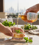 SABA Kombucha Peppermint, 270ml - Pack of 6