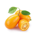 FRESH Kumquats, 1 Kg (Approx 50 Pcs)