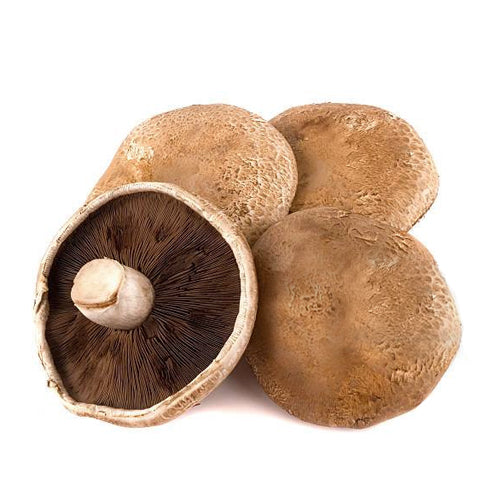 FRESH Portabello Mushrooms, 1Kg (8 to 10 Pcs)