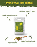 Ecological Pumpkin Seed Kernels (Raw) 2.5 Kg