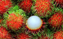 FRESH Rambutans, 500g