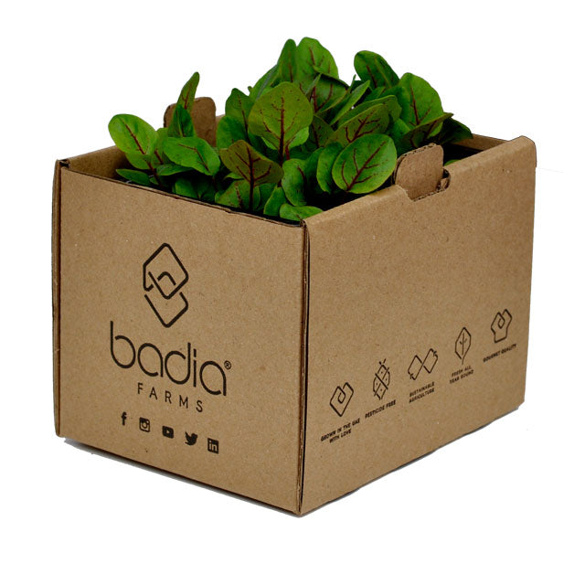 FRESH Sorrel Cress, 1 Tray (15 to 20g)