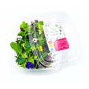 FRESH Lettuce Salad - Summer Savoury, 100g