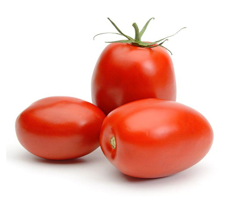 FRESH Plum Tomatoes, 500g