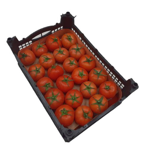 FRESH Tomatoes, 1 Carton (5.5 to 6.5Kg)