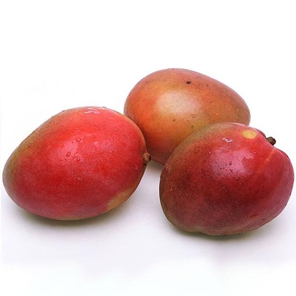 Premium Organic Mango, Peru, 1Kg
