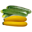 ORGANIC Mixed Zucchinis, 500g