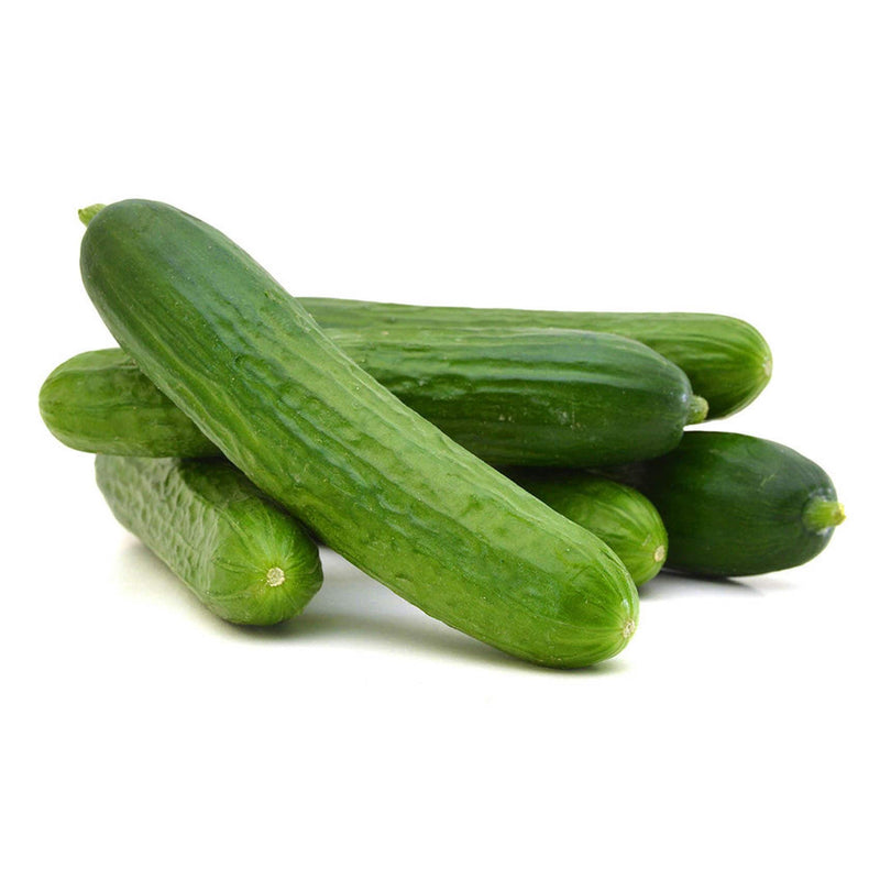 VEGAN ORGANIC Cucumber, 500g
