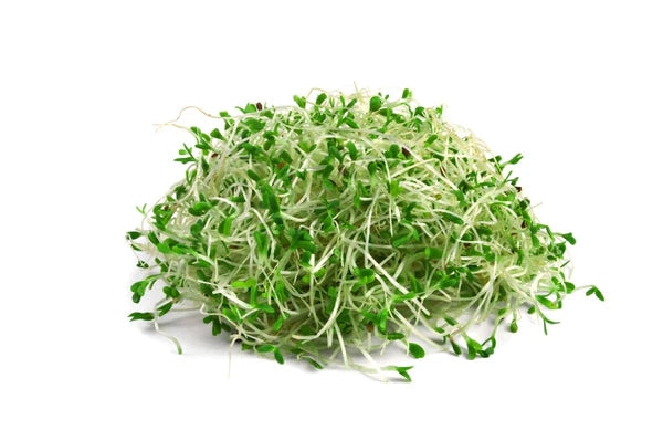 FRESH Alfalfa Sprouts, 100g