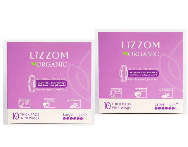 LiZZOM Thick Regular Pads With Wings (20 pc) - Pack Of 2