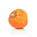 FRESH King Coconut, 1Pc (700g to 1 kg)