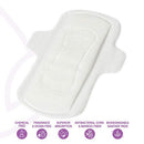 LiZZOM Ultra Thin Large Pads With Wings (20 pc) - Pack Of 2