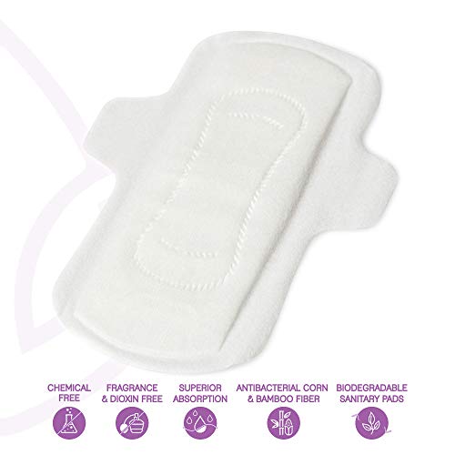 LiZZOM Ultra Thin Regular Size Sanitary Pads With Wings (10 pc)