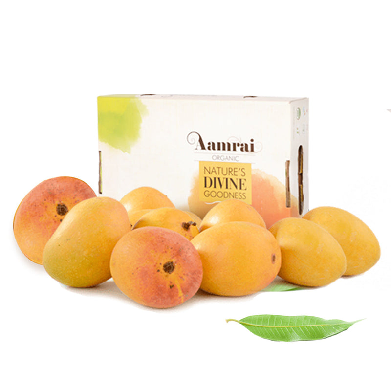 AAMRAI Organic Alphonso Mangoes Legend Box of 9 Pcs