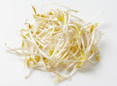 FRESH Bean Sprouts, 1Kg