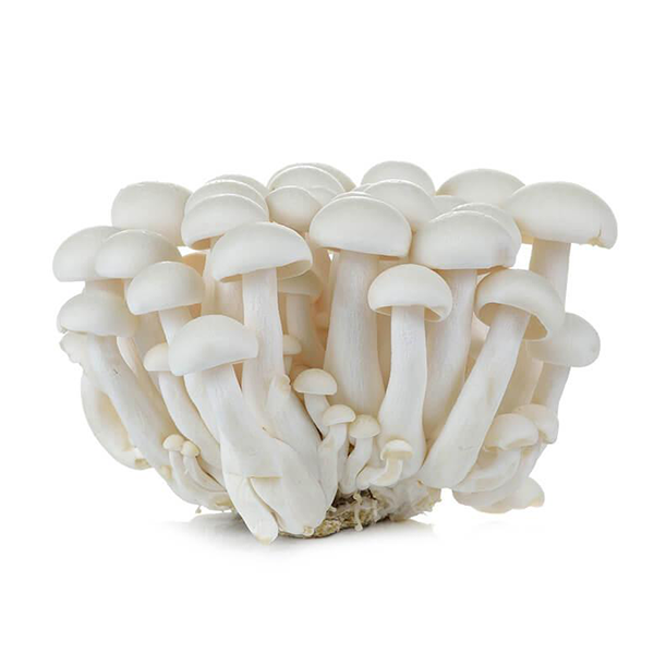FRESH Shimeji Mushrooms - Brown, 150g