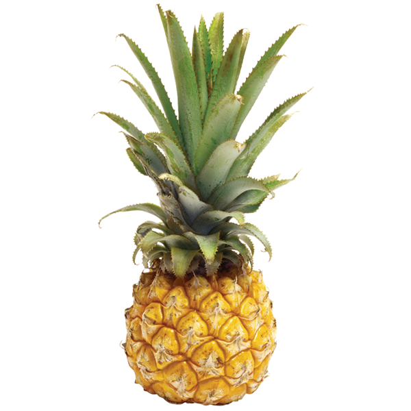 FRESH Baby Pineapples, 400g to 500g (1 Pc)
