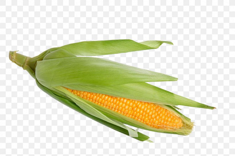 FRESH Sweet Corn, 500g (2-3 Cobs)