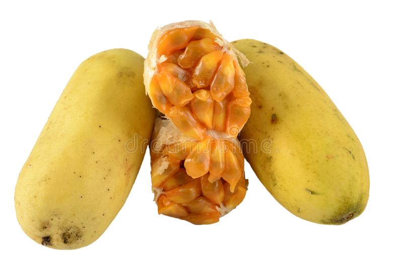 FRESH Curuba - Banana Passion Fruit, 1Pc (150g - 170g)