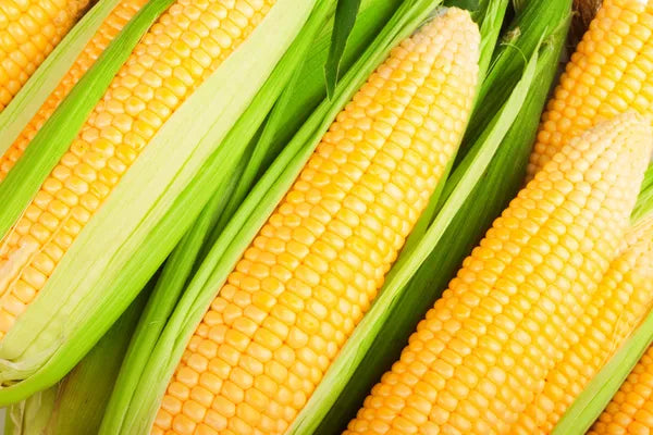 FRESH Sweet Corn, 1Kg (4-5 Cobs)