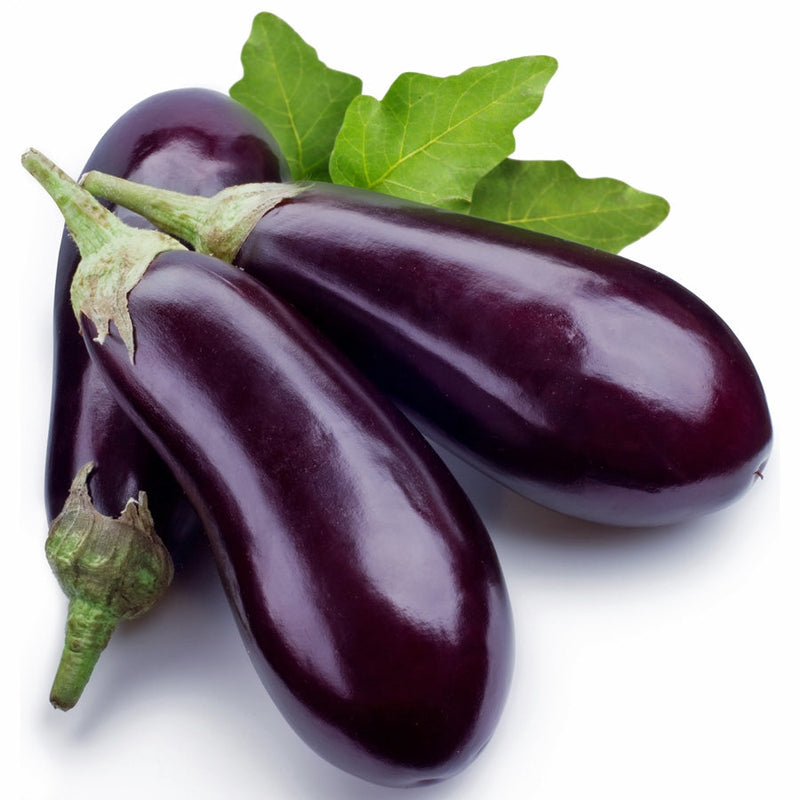Premium Organic Eggplant from India, 500g